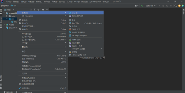 intellij ideaô(chung)java(xing)ĿE-4