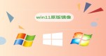 win11Ă汾(wn)Ԕ