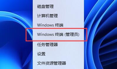 Win11Ƭ鿴W˽QWin11Ƭ鿴W˽Q