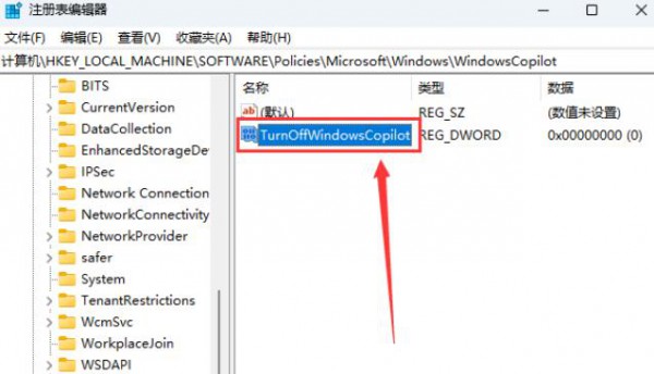 win11ôصP(gun)]Windows Copilotwin11ȫP(gun)]Windows CopilotԔ