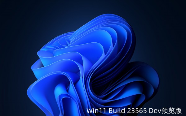 Win11 Build 23565 Dev A(y)[l(f)΄(w)@ʾ Copilot D(bio)Ԕ