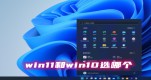 win11win10Ă(g)ϵy(tng)win11win10xĂ(g)Ԕ