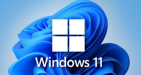 win11ȫӠB(ti)ô_Win11ȫӠB(ti)_N̳