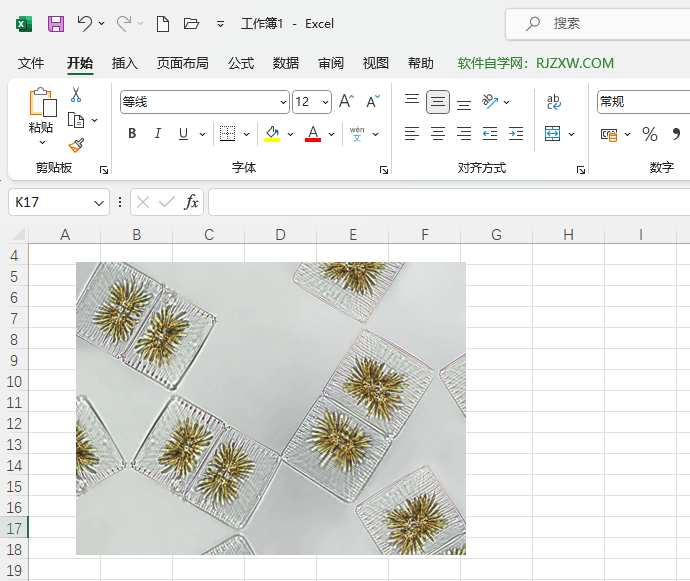 Excel2021βһ(x)DƬ